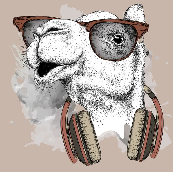 Bilden av kamelen i glasen, hörlurar och hip-hop hat. Vektorillustration. — Stock vektor