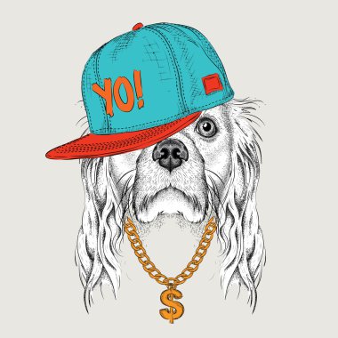 Yavru horoz İspanyol portre hip-hop şapkalı görüntü ile poster. Vektör çizim.