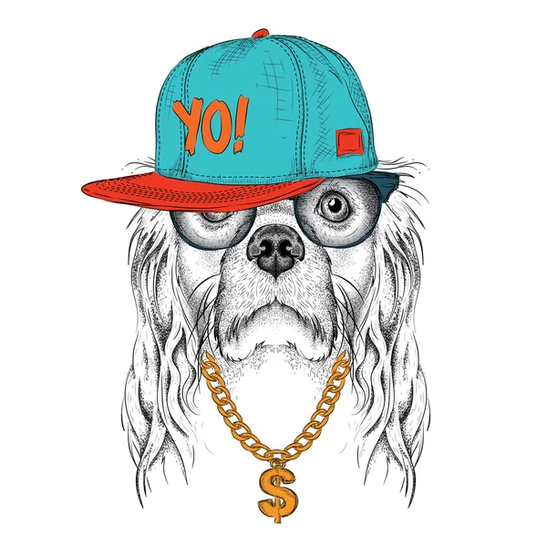 Il poster con l'immagine di Cocker Spaniel ritratto in cappello hip-hop. Illustrazione vettoriale . — Vettoriale Stock