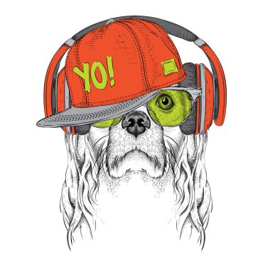 Gözlük, kulaklık ve hip-hop şapka Cocker Spaniel görüntü. Vektör çizimi.