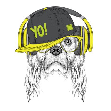 Gözlük, kulaklık ve hip-hop şapka Cocker Spaniel görüntü. Vektör çizimi.