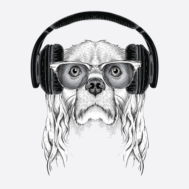 Gözlük, kulaklık ve hip-hop şapka Cocker Spaniel görüntü. Vektör çizimi.