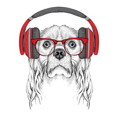 Gözlük, kulaklık ve hip-hop şapka Cocker Spaniel görüntü. Vektör çizimi.