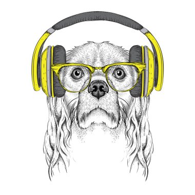 Gözlük, kulaklık ve hip-hop şapka Cocker Spaniel görüntü. Vektör çizimi.