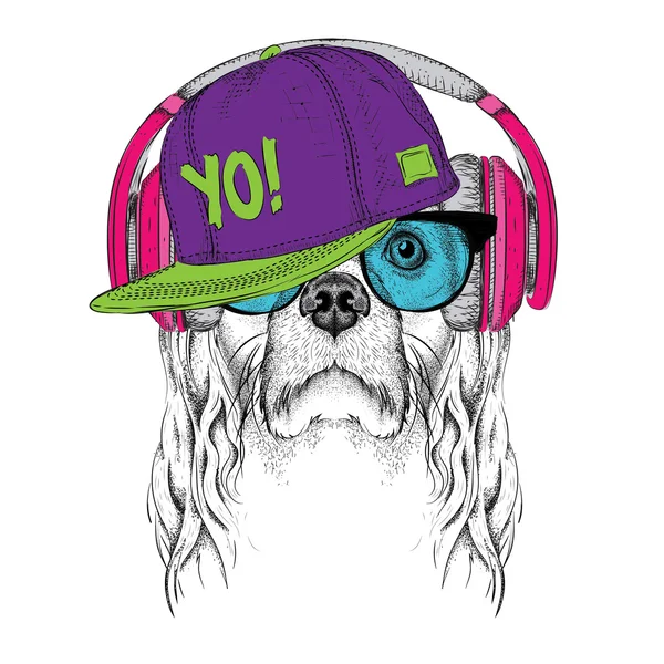 La imagen de Cocker Spaniel en las gafas, auriculares y en el sombrero de hip-hop. Ilustración vectorial . — Archivo Imágenes Vectoriales