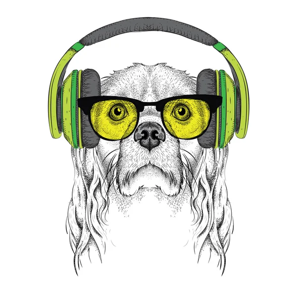 Obraz Cocker spaniel w okularach, słuchawkach i kapelusz hip-hop. Ilustracja wektorowa. — Wektor stockowy