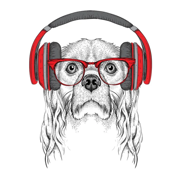 Das Bild des Cockerspaniels mit Brille, Kopfhörer und Hip-Hop-Hut. Vektorillustration. — Stockvektor