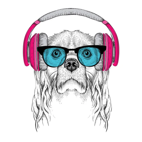 Das Bild des Cockerspaniels mit Brille, Kopfhörer und Hip-Hop-Hut. Vektorillustration. — Stockvektor