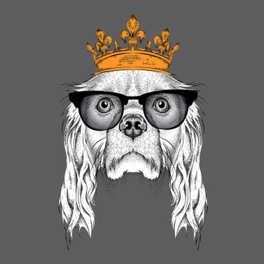 El taç görüntü portre Cocker çizin. Baskı, poster, tişört için kullanın. El çizmek vektör çizim