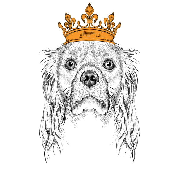 Desenho à mão Imagem Retrato de Cocker na coroa. Use para impressão, cartazes, camisetas. Desenho manual ilustração vetorial — Vetor de Stock