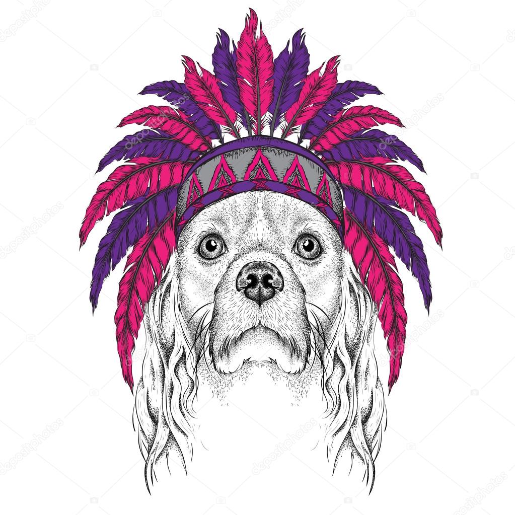 Cocker in the colored Indian roach. Indian feather headdress of eagle. Hand draw vector  illustration