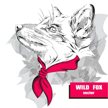 El Fox pembe bir başörtüsü ile boynuna çizimi. Vektör çizim