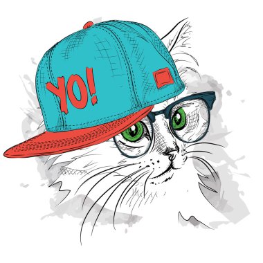 Poster ile görüntü kedi portre hip-hop şapkalı. Vektör çizim.
