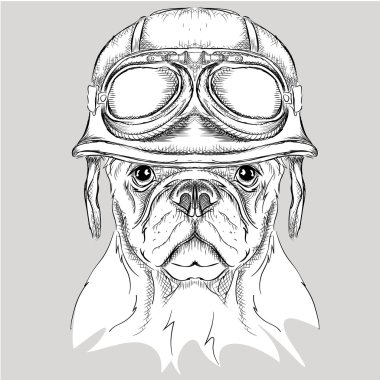Motosiklet kaskı takıyor köpek portresi ile poster. Vektör çizim.