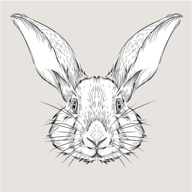Poster görüntü tavşan portre ile. El çizmek vektör çizim.