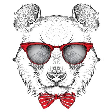 Görüntü portre panda kravat ve gözlüklü. El çizmek vektör çizim.