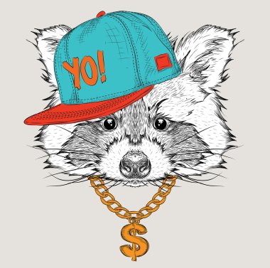 Poster ile görüntü Rakun portre hip-hop şapkalı. Vektör çizim.