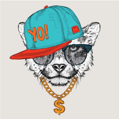 Poster ile görüntü cheetah portre hip-hop şapkalı. Vektör çizim.