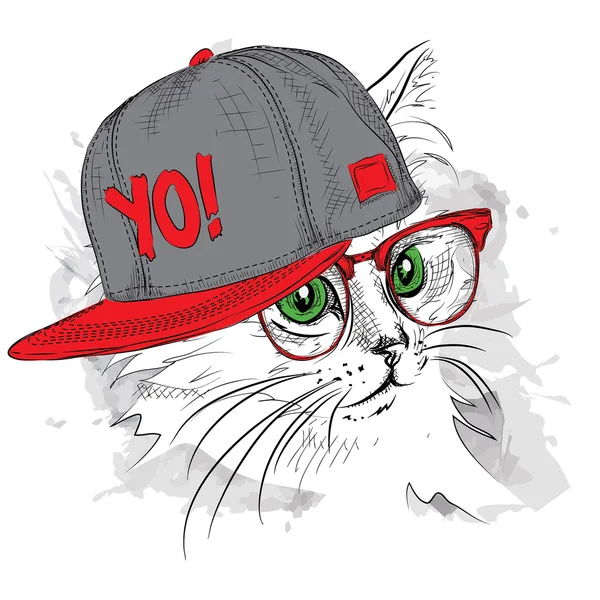 El póster con la imagen retrato de gato en el sombrero de hip-hop. Ilustración vectorial . — Vector de stock