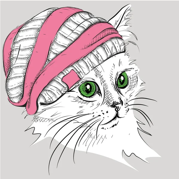 Ręki narysować kota w kapeluszu. Ilustracja wektorowa — Wektor stockowy