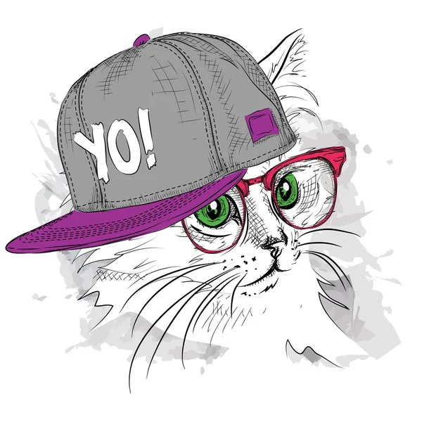 Il poster con il ritratto del gatto immagine in cappello hip-hop. Illustrazione vettoriale . — Vettoriale Stock