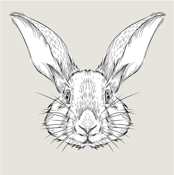 The poster with the image rabbit portrait. Hand draw vector illustration. — Stock Vector