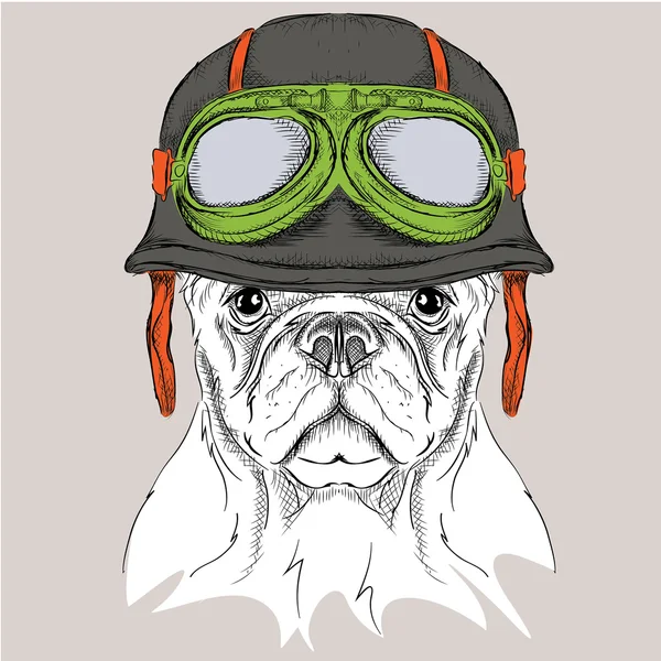 The poster with the portrait of the dog wearing the motorcycle helmet. Vector illustration. — Stock Vector