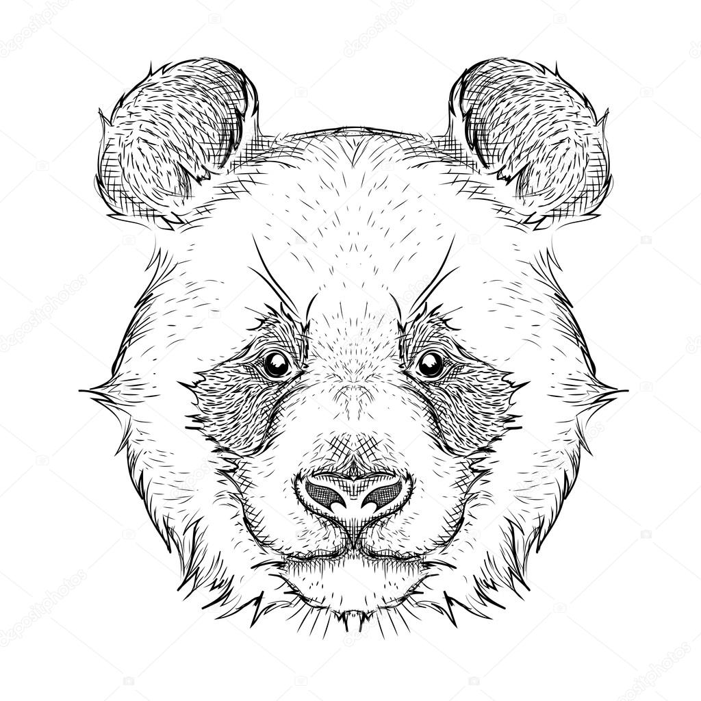 Das Poster mit dem Bild-Panda-Porträt. Hand zeichnen Vektor Illustration.  Stock-Vektorbild von ©mountain_inside 95877974, image size:1024x1024