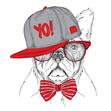 Poster ile görüntü köpek portre kırmızı ve gri hip-hop şapkalı. Vektör çizim.