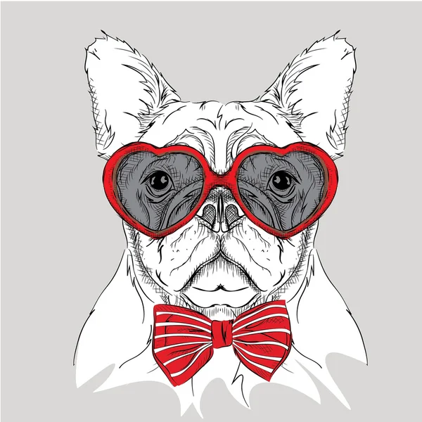 Immagine di ritratto di un cane con gli occhiali a forma di cuore. Illustrazione vettoriale . — Vettoriale Stock