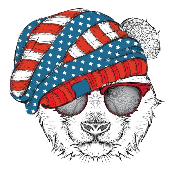 手画熊猫在美国帽子。矢量图 — 图库矢量图片