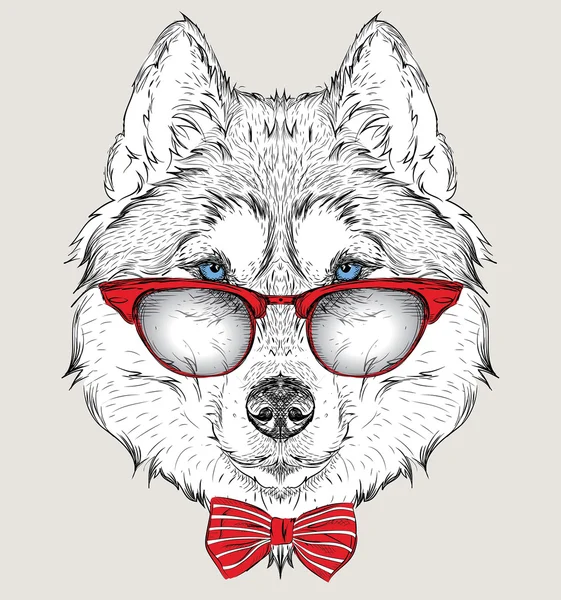 Εικόνα πορτρέτο σκύλος χάσκεϋ σε το cravat και με γυαλιά. Κλήρωση χέρι διανυσματικά εικονογράφηση. — Διανυσματικό Αρχείο