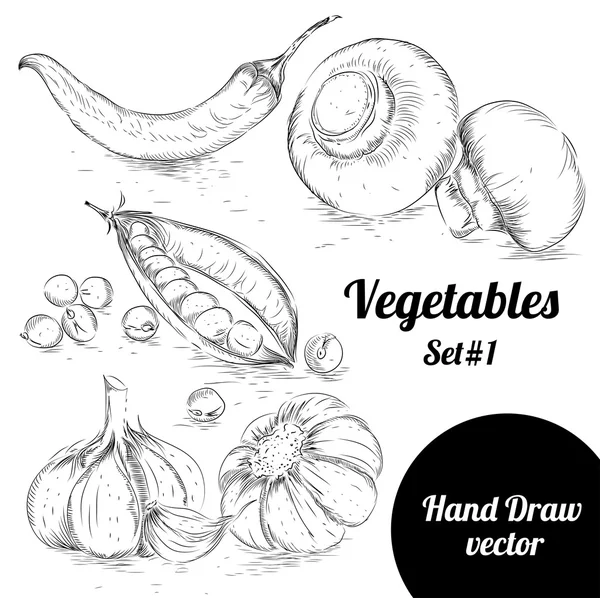 Hand drawn sketch style set of vegetables. Vintage eco food vector illustration. — Stock Vector