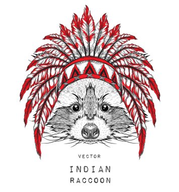 Rakun renkli Hint hamamböceği. El çizmek vektör çizim