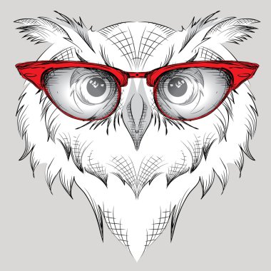 Görüntü portre baykuş gözlüklü. / Afrika / Hindistan / totem / dövme tasarım. Baskı, poster, tişört için kullanın. El çizmek vektör çizim