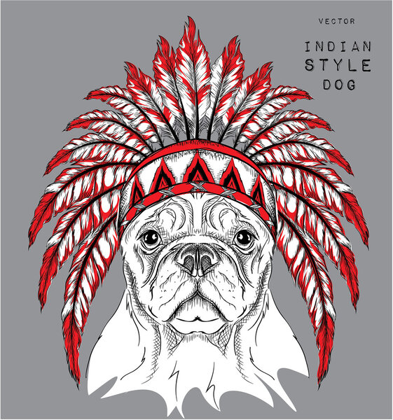 Dog in the colored Indian roach. Indian feather headdress of eagle. Hand draw vector  illustration