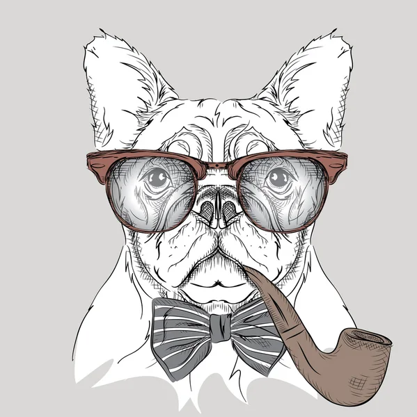 Imagem Retrato bulldog no cravat e óculos com cachimbo de tabaco. Ilustração vetorial . —  Vetores de Stock