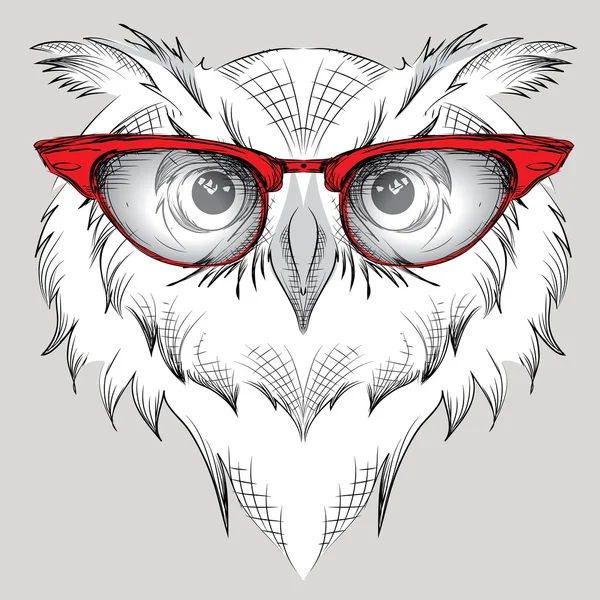 Image Portrait owl in the glasses.  / african / indian / totem / tattoo design. Use for print, posters, t-shirts. Hand draw vector illustration — Stock Vector