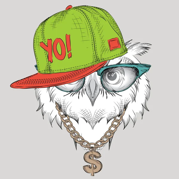 Poster ile görüntü baykuş portre hip-hop şapkalı. Vektör çizim.