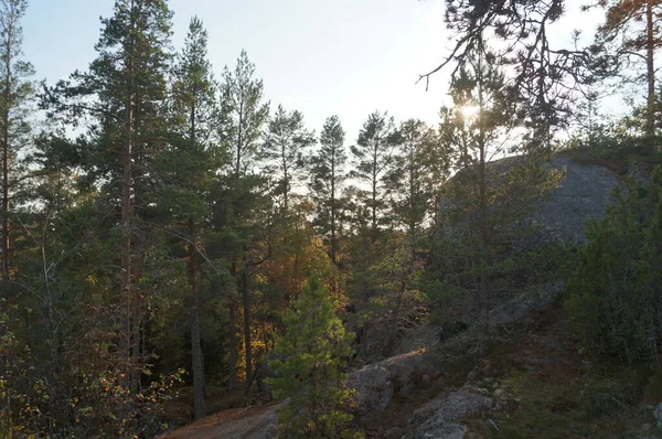 Ladoga Skerries Schoonheid Van Wilde Natuur — Stockfoto