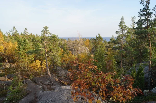 Ladoga Skerries Vad Természet Szépsége — Stock Fotó