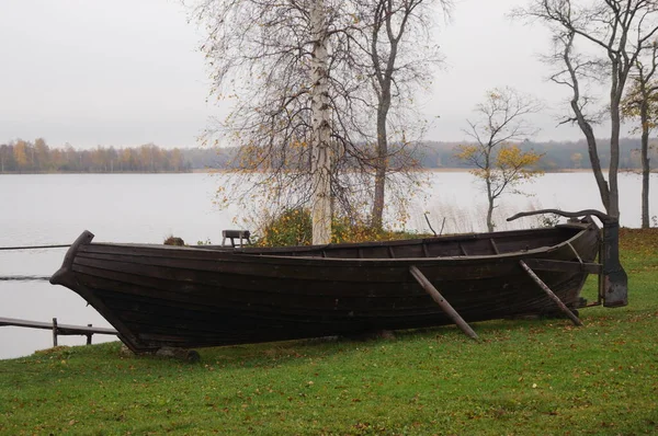 Skogsmark Och Naturens Storslagenhet Kizhi — Stockfoto