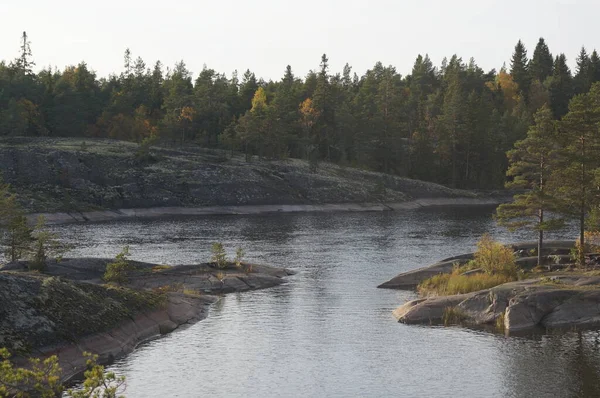 Ladoga Skär Skönhet Vild Natur — Stockfoto