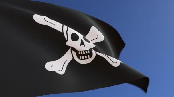 Pirate Flag Richard Worley Waving Wind — Stock Video