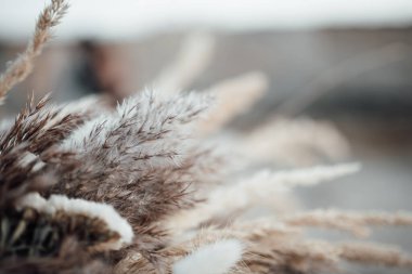 Çatlamış zeminde kurumuş çiçeklerin yakın çekimi