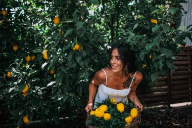 Limonlu sepet tutan güzel kız. 