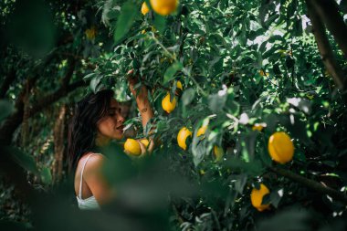 seçici odak noktası limon ağacının yanında poz veren kız