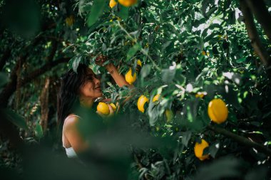 Gülümseyen kadın limon ağacının yanında poz veriyor.