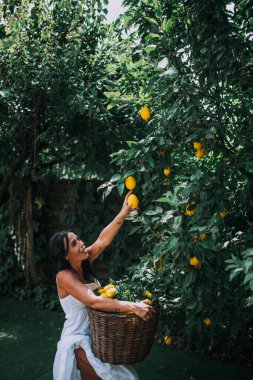 Sepeti limonla dolu genç ve güzel bir kadın.