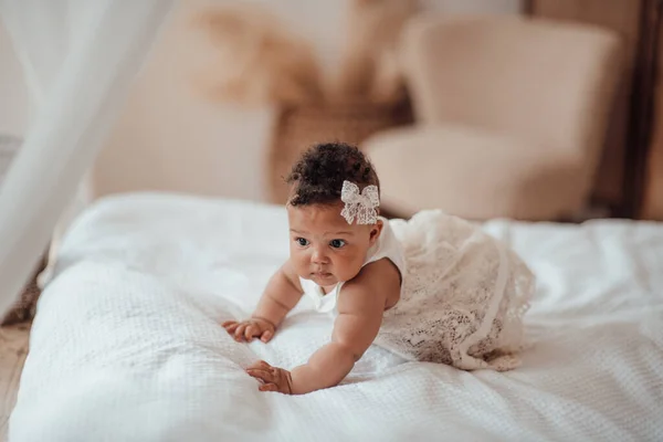 Beautiful Mixed Race Little Girl — Stock Photo, Image